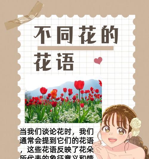 逝去的花语通常与哪种花相关？