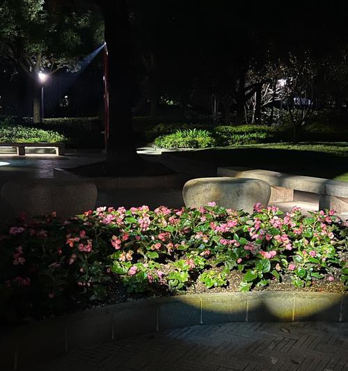 水出芙蓉的花语是什么？芙蓉花语有何寓意？