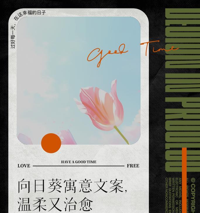 向日葵的花语传达了哪些信息？
