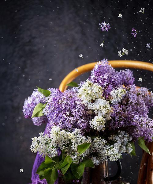 丁香花束花语寓意是什么？丁香花代表的特殊含义是什么？