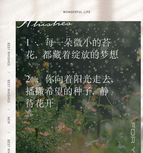 金典花语平凡的日子是什么？平凡日子的花语有哪些？