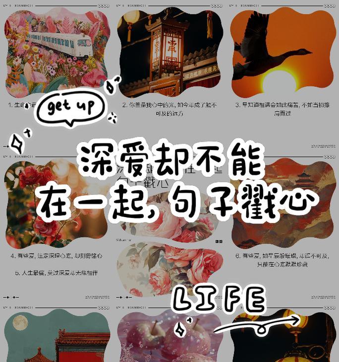 类似心头肉的花语是什么？这种表达爱的方式有何特别之处？