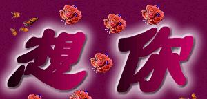 类似心头肉的花语是什么？这种表达爱的方式有何特别之处？