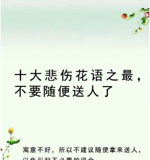 哪种花语象征着解决误会？