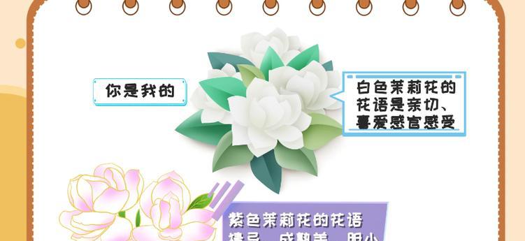 茉莉花语的梗是什么意思？茉莉的花语梗有哪些？