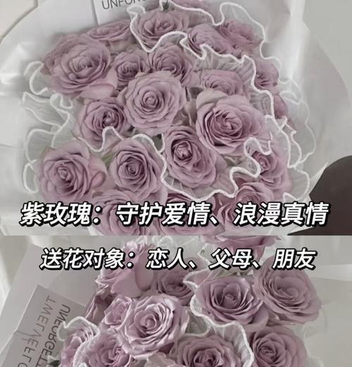 花语大全中玫瑰的寓意是什么？它传递了哪些情感？
