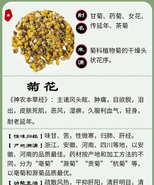 菊花的花语和寓意有何深意？如何用菊花表达情感？