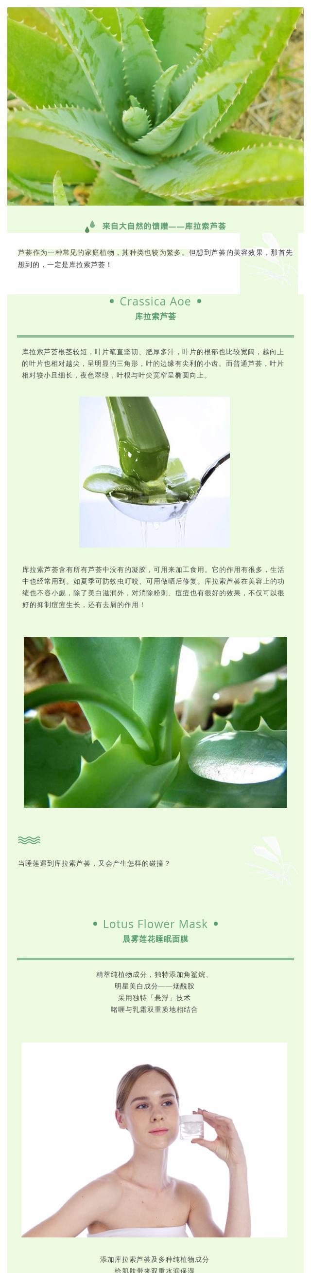 杜鹃花的花语及其功效特点是什么？它在自然界中扮演什么角色？
