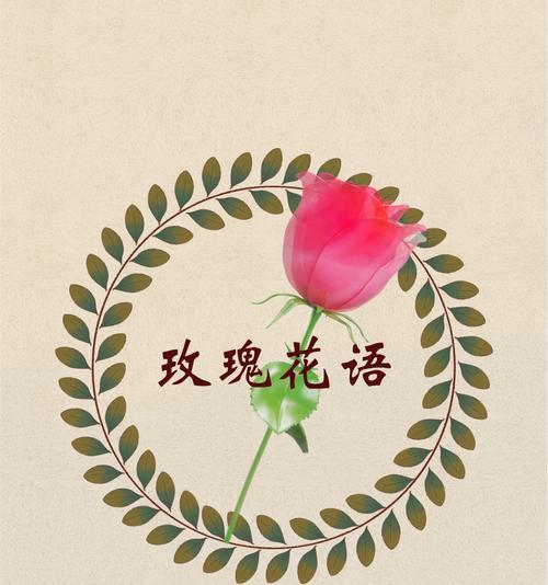 九朵玫瑰花传递了哪些情感？