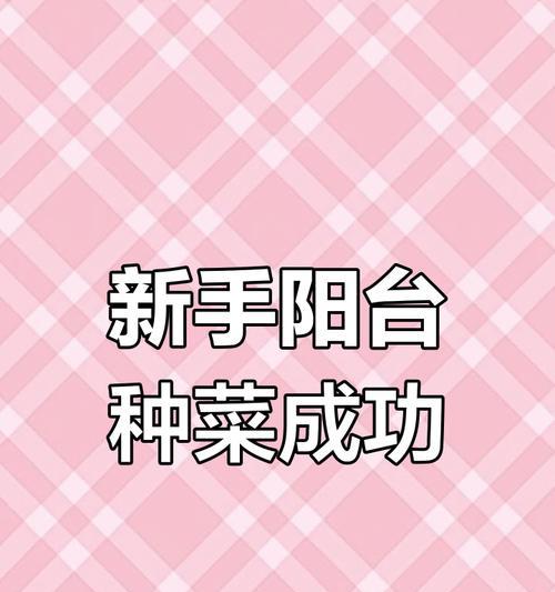 生菜催芽的快速方法是什么？