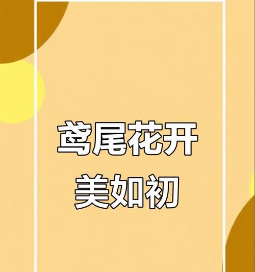 鸢尾花的花期持续多久？