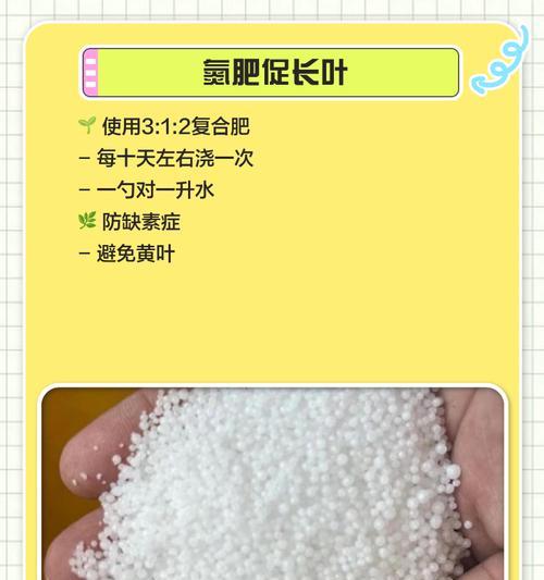 发财树施肥的正确方法是什么？