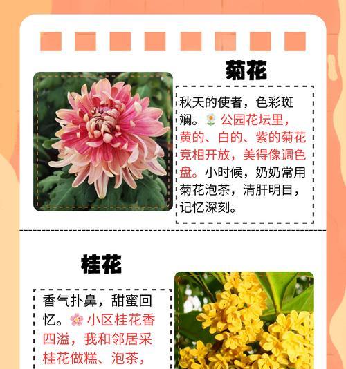 不同花的开花时间是什么时候？如何正确养护不同花？