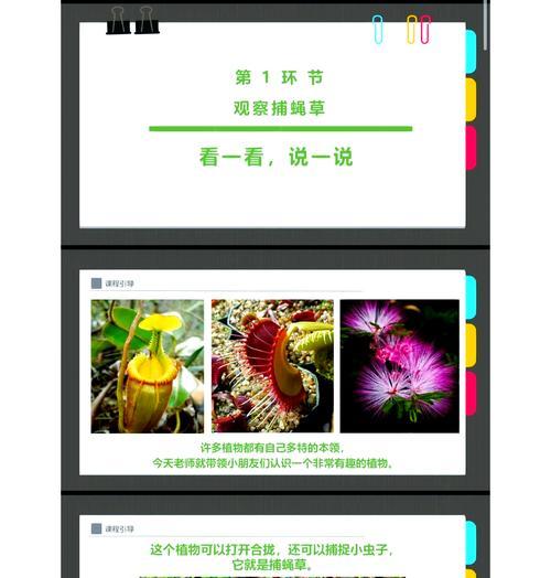 捕蝇草如何捕食昆虫？