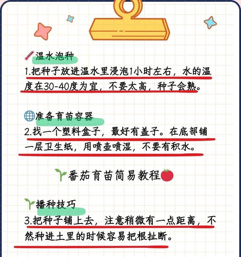 西红柿种植有哪些技术要点？