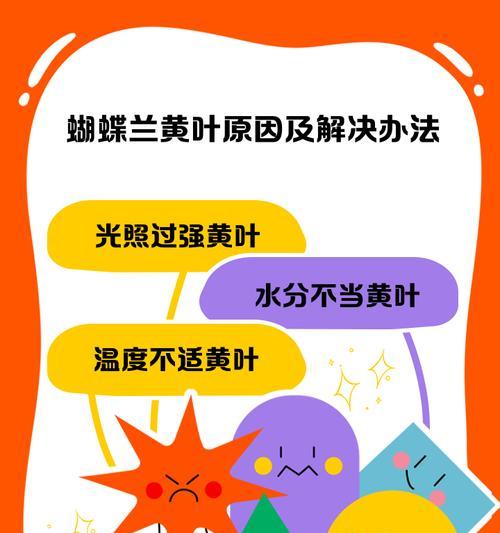 白兰花叶子发黄落叶的补救方法是什么？