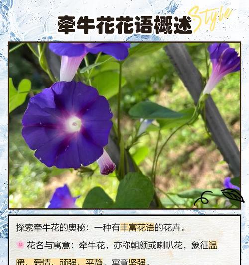 如何妙手回春让鸿运当头重现生机？