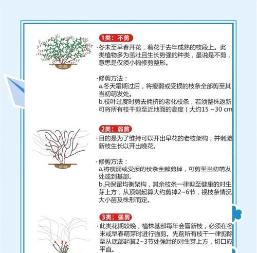 铁线莲裸根种植方法及养护技巧是什么？