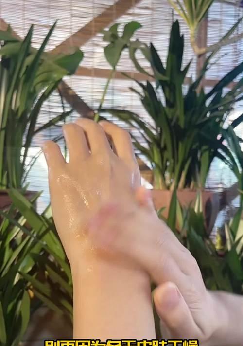 芦荟养护需要注意什么？如何保持其活力？