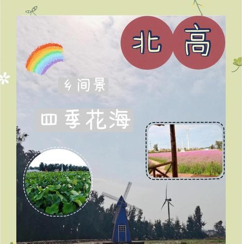 四季花卉有哪些？如何在每个季节打造花海？
