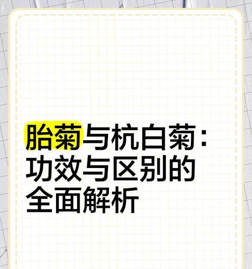 雏菊和杭菊有什么关系？养护方法有何不同？