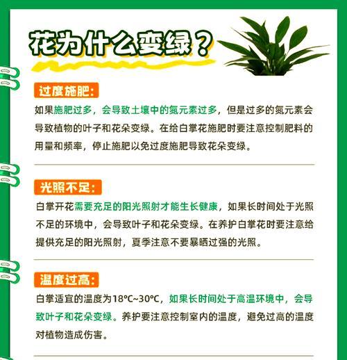 如何选择新鲜绿色植物？养护要点有哪些？