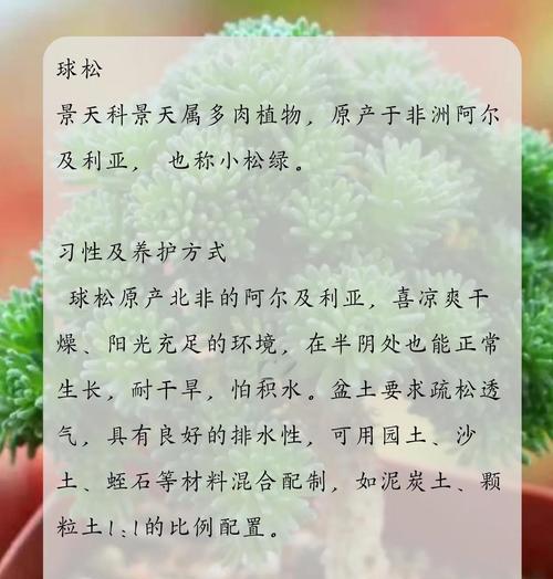 如何选择新鲜绿色植物？养护要点有哪些？