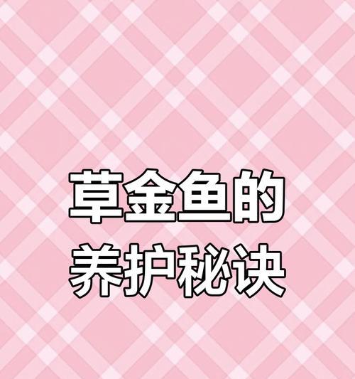 草金鱼是什么？如何分类和养护？