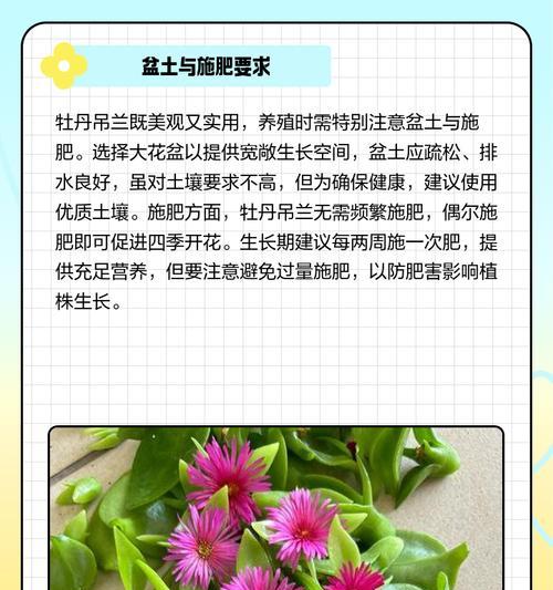 如何掌握牡丹吊兰扦插技巧？美家绿植更进一步的秘诀是什么？