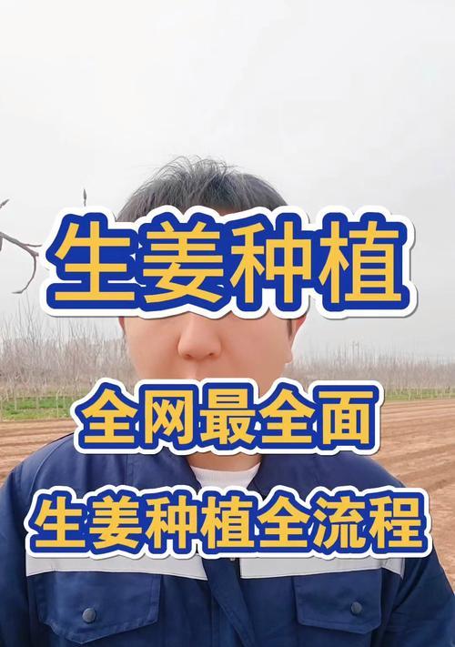 生姜种植如何实现科学管理技术？