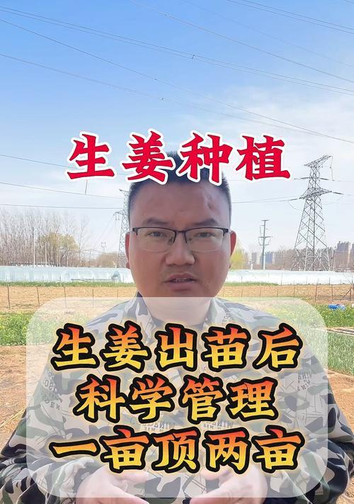 生姜种植如何实现科学管理技术？