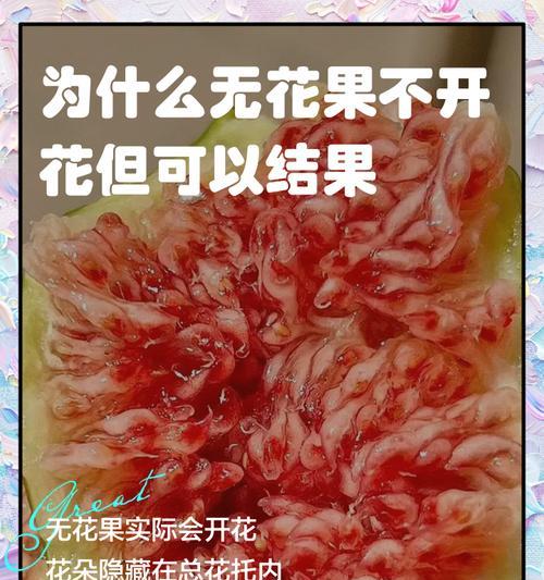 无花果不开花的真相是什么？