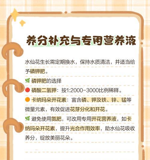 水仙花的开花时间及养护方法？