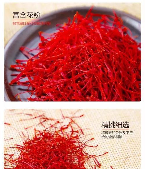 如何高效收获藏红花花粉？