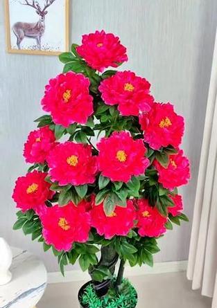 假花盆栽红掌，如何选择和养护？