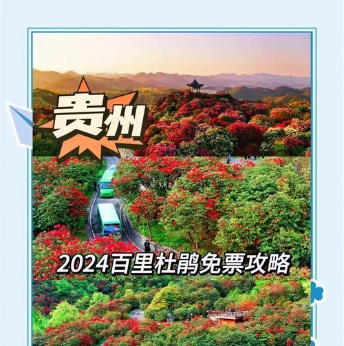 杜鹃花期通常在几月开始？持续多久？