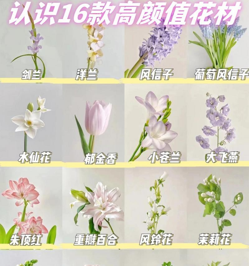 各种花的花语是什么？