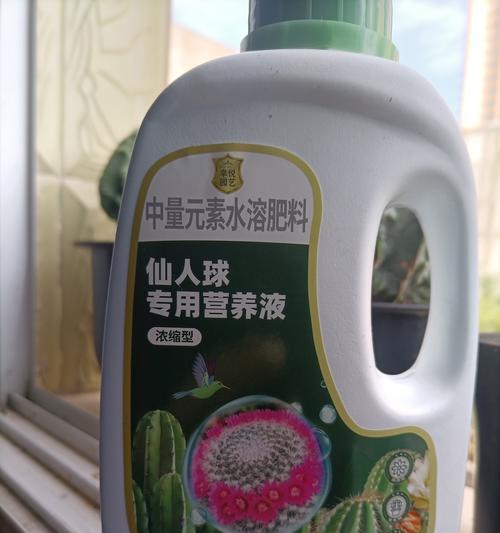 仙人球施肥指南：哪种肥料最适合？