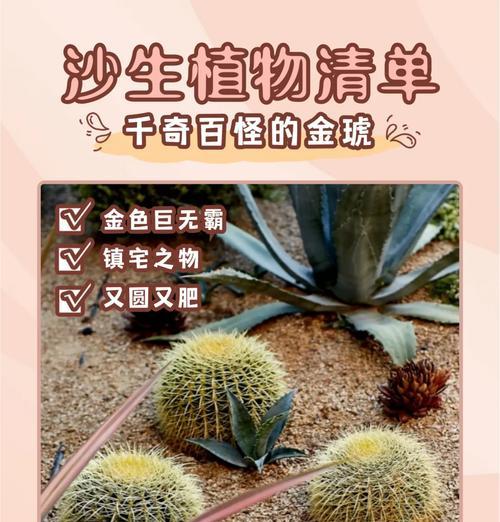 黄花绿王仙人球养护技巧？