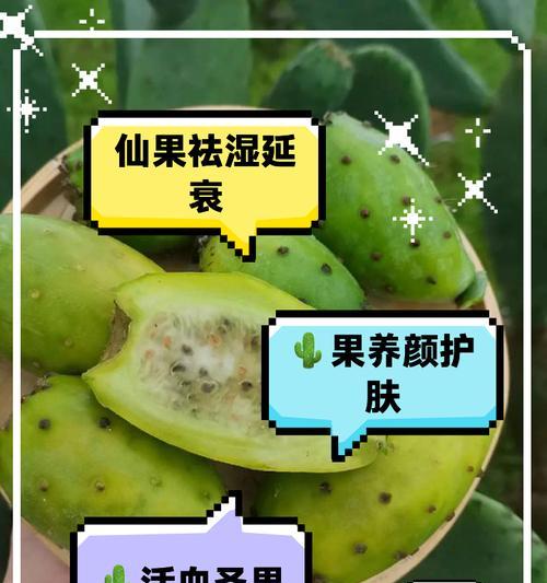 梨果仙人掌种植收益分析？