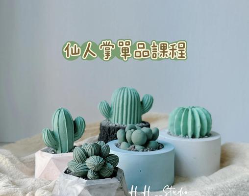 石头仙人掌盆栽养护方法？