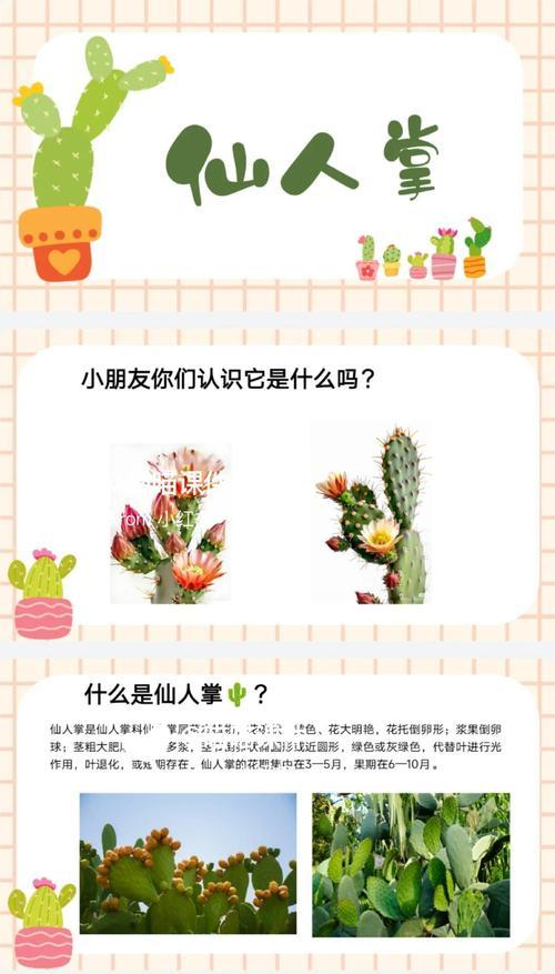 仙人掌花苞拔除后的处理方法？