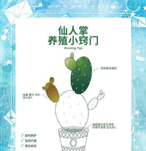 仙人掌花苞拔除后的处理方法？