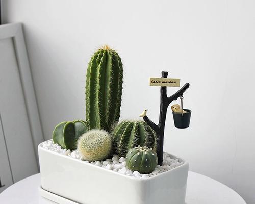 拼盆种植仙人掌的方法是什么？