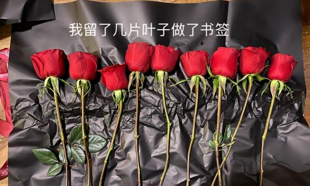 玫瑰花如何保存才能不枯萎？
