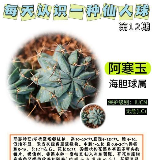 黑猩猩仙人球的养殖方法是什么？