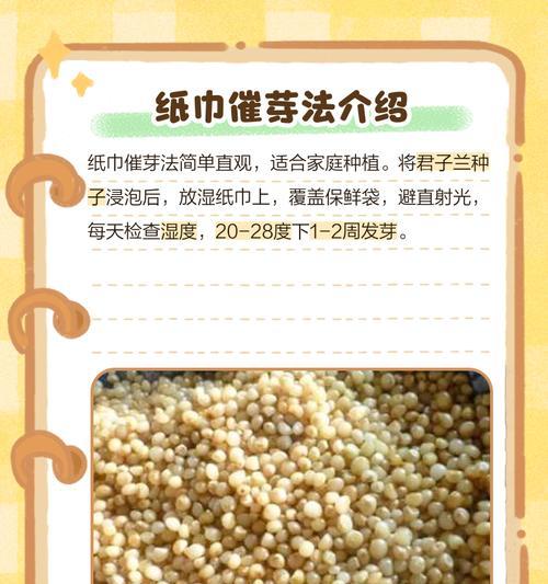 君子兰种子种植后多久发芽？