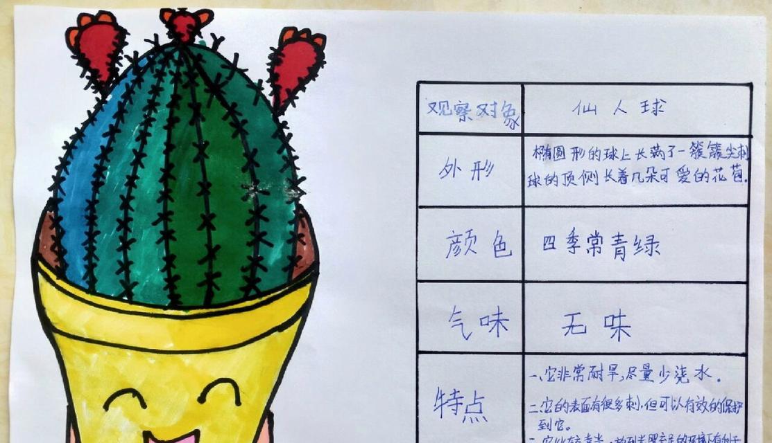 如何正确种植仙人球？