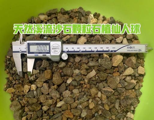 如何正确种植仙人球？