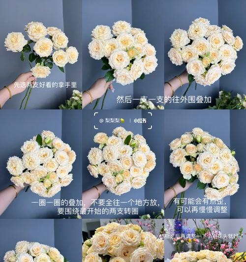 多头玫瑰花的种植方法是什么？